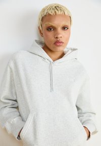New Balance SPORT ESSENTIALS HOODIE - Sportinis megztinis - ash heather