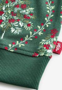 Sweatshirt verde din fleece, cu un design floral ce include fructe roșii și frunze verzi. Mansete ribbtate în verde asortat. Detaliu mic cu etichetă roșie.
