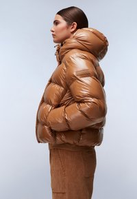 Napapijri GLANE - Winterjas - brown tobaco