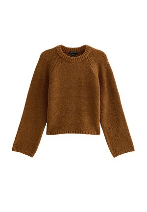 Brown knitted sweater with a round neckline, long raglan sleeves, textured fabric, and ribbed cuffs and hem, cropped design.