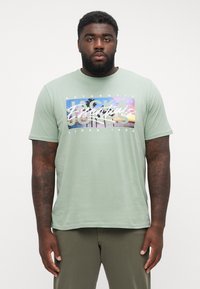 Lys grøn bomulds t-shirt med et flerfarvet grafiktryk med tekst. Korte ærmer og klassisk rund halsudskæring.