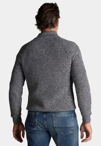 Grijze gebreide trui met een textuurpatroon, raglanmouwen en een hoge kraag, gedragen met blauwe denim jeans. Achteraanzicht weergegeven.