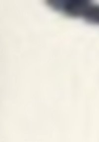 Bouclier de couleur sombre avec un design ergonomique et arrondi, présentant une surface texturée et des accents métalliques, sur un fond clair.