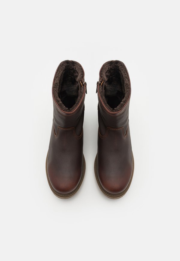 FEDRO - Classic ankle boots - chestnut2