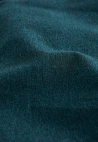 Seasalt Cornwall EASEL - Langarmshirt - dark wreckage