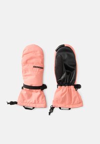 Selecionado, sunrise coral