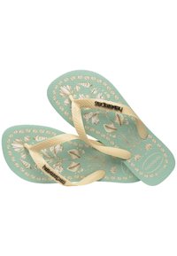 Havaianas TOP TROPICALIA VIBES - Basseinijalatsid - coast green