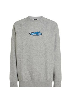 Sweat-shirt gris avec un col rond, des manches raglan et des poignets côtelés. Présente un logo bleu et noir au centre devant.