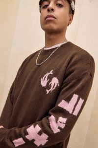 Brauner Strickpullover mit pinkfarbenen Fischen und geometrischen Mustern an den Ärmeln, Rundhalsausschnitt und gerippten Bündchen. Gestylt mit einer silbernen Kettenhalskette.