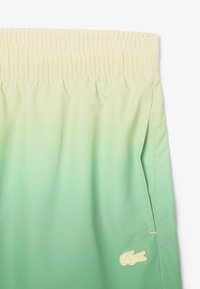 Costumi da bagno in un gradiente che passa dal beige chiaro al verde, con una fascia elastica in vita e una tasca laterale, arricchiti da un logo ricamato giallo sulla gamba.