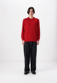 Red knit sweater with long sleeves, round neckline, paired with dark, loose-fitting pants and black shoes. Minimalist design on a plain background.