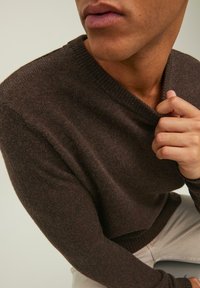 Jack & Jones PULLOVER - Jersey de punto - braun