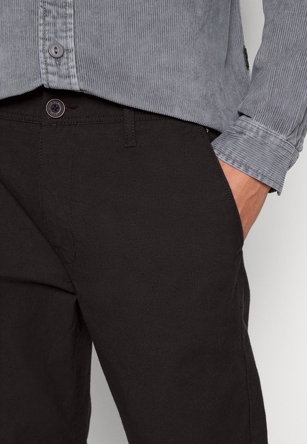 Chinos - desert palm2