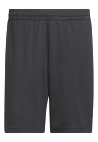 Shorts de sport noirs en tissu mesh respirant. Taille élastique pour le confort. Longueur au genou avec des coutures minimales et sans poches.