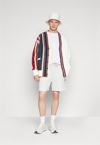 Tommy Jeans BADGE CARGO  - Træningsbukser - silver grey