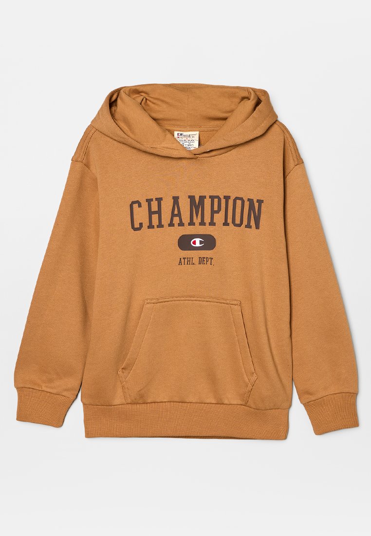 Champion Hoodie meerkleurig