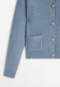 Massimo Dutti Gilet - blue