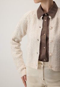 Cardigan cremos cu tricotaj în zig-zag, cu manșete și tiv dublu. Are butoane rotunde și o textură moale, purtat peste o cămașă maro cu guler.