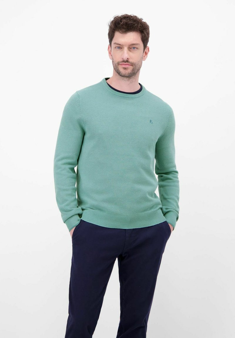 Męski sweter dzianinowy w miękkim zielonym kolorze, z okrągłym dekoltem, ściągaczami na mankietach oraz małym logo na piersi. Gładka faktura, casualowy fason.