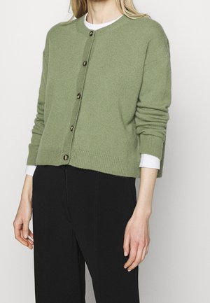 Vrouw draagt een lichtgroene cardigan met knopen over een wit shirt, gecombineerd met een zwarte broek, staande tegen een effen achtergrond.