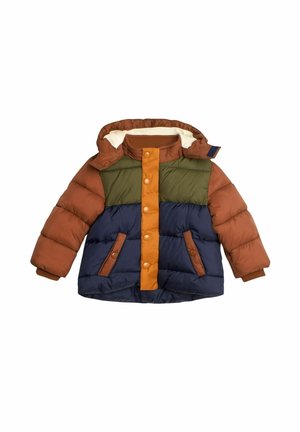 REGULAR FIT - Zimný kabát - brown