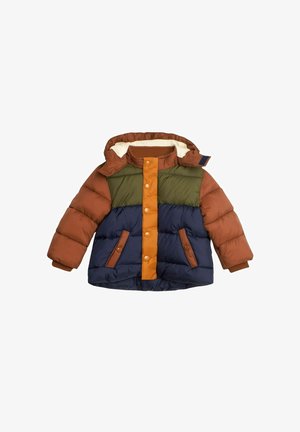 REGULAR FIT - Abrigo de invierno - brown