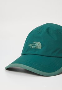 Tyrkysová kšiltovka s zakřiveným kšiltem vyrobená z lehkého materiálu. Na přední straně se nachází decentní zelené logo "The North Face". Žádné viditelné vzory.