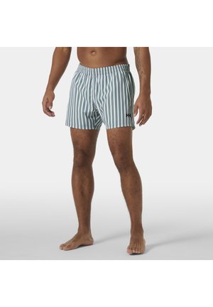 NEWPORT  - Bañador corto - grey cactus stripe aop