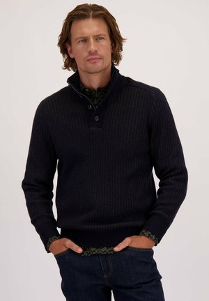 Marineblauwe geribde trui met een hoge kraag, uitgerust met twee knopen. Daaronder is een gestreept groen overhemd zichtbaar. Casual pasvorm met lange mouwen.