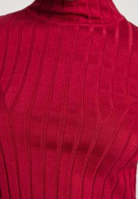 Roter gerippter Rollkragenpullover mit vertikalen Linien, figurbetontem Design und glatter Textur, mit hohem Kragen für zusätzlichen Schutz.