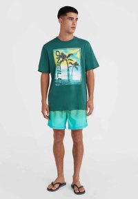 Camiseta de algodón en verde profundo con un gráfico de palmera; combinada con pantalones cortos en degradado aqua con rayas horizontales. Chanclas negras.