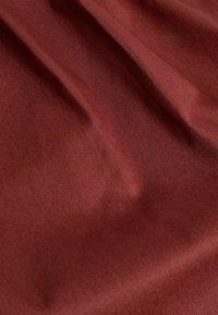 Next TALL REGULAR FIT - Shorts - brown