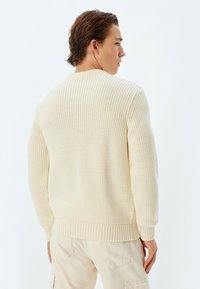 Cremfarbener gestrickter Pullover mit strukturiertem Rippenmuster, mit langen Ärmeln und lockerer Passform, von hinten vor einem neutralen Hintergrund gezeigt.