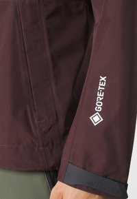 adidas Terrex XPR GORE PAC JJACKET - Giacca hard shell - shadow brown