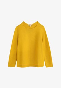 Ei valittu, yellow gorse