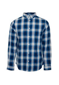 Rutig blå og hvid langærmet skjorte lavet af blødt stof, med en button-down krave og hvide knapper foran.