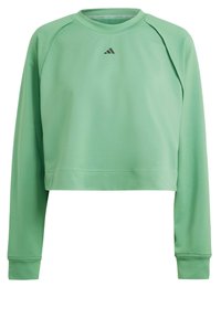 POWER HIDDEN RACERBACK OVERLAY COVER UP - Top s dlouhým rukávem - preloved green   black