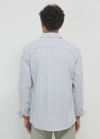 Calliope CLASSICA A RIGHE - Chemise - var salvia