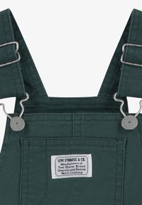 Dunkelgrüne Latzhose mit Metallklammern, die ein Markenlabel auf der Fronttasche hat. Hergestellt aus strapazierfähigem Stoff mit einer strukturierten Oberfläche.