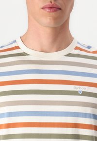 Striped T-shirt featuring colors: blue, orange, green, beige, and white. Soft cotton fabric with a crew neckline and Barbour logo detail.