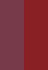 Kleur (1)