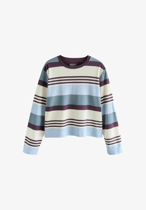 Striped long-sleeve top in light blue, white, and dark purple. Features a crew neckline and a relaxed fit with horizontal stripes.