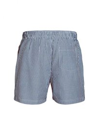 MCS IRVING - Plavecké šortky - navy blue
