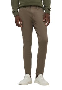 Terranova Chino - testa moro