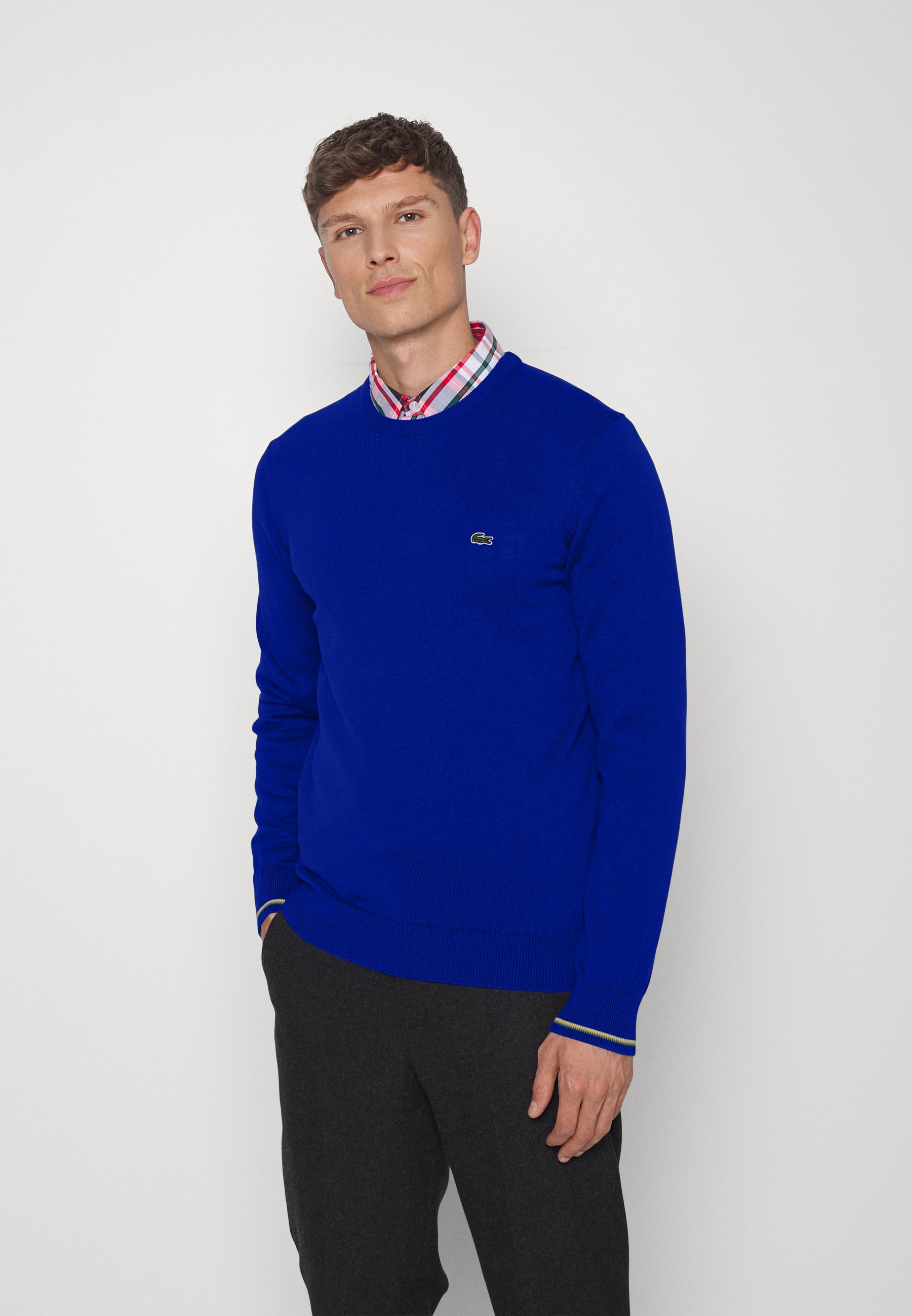 Lacoste Jumper - royal blue - Zalando.de