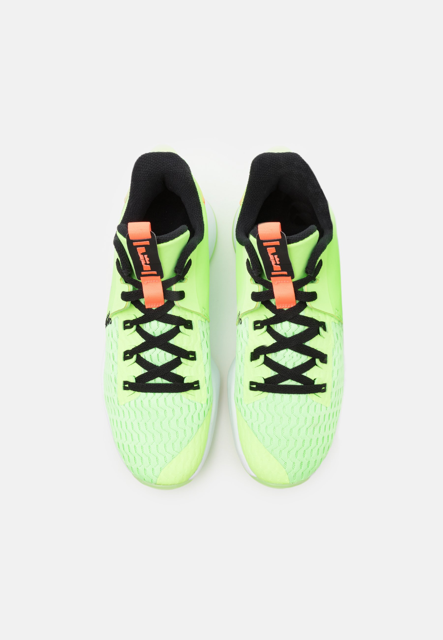 Nike Performance LEBRON WITNESS 5 