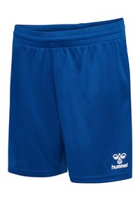 Pantalones cortos deportivos azules hechos de una tela suave y ligera. Cuentan con una cintura elástica y un logo blanco en la parte inferior derecha.