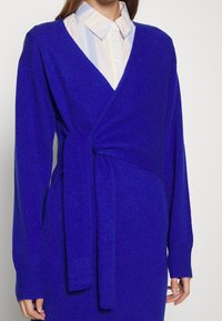 Abito avvolgente a maniche lunghe con scollatura a V in un vivace tessuto a maglia blu, con dettaglio in vita annodato. Sotto, è visibile un colletto di camicia a righe chiare.