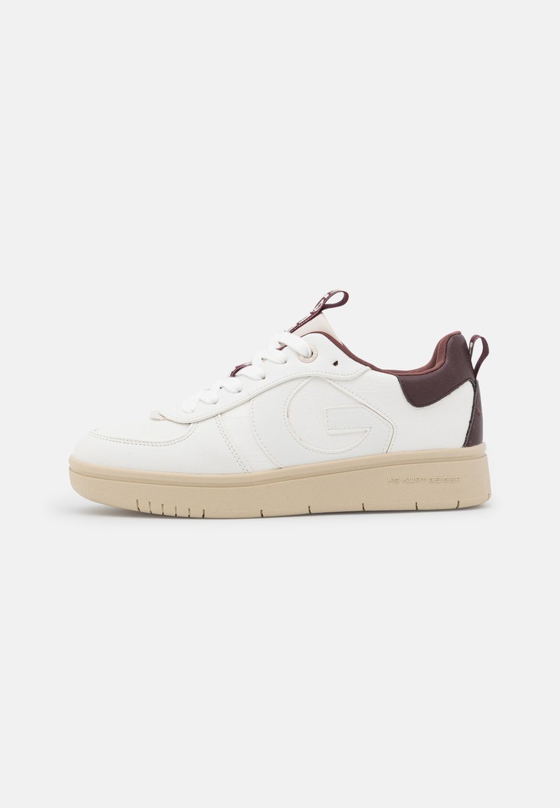 Damen Sneaker low | KG Kurt Geiger VEGAN LANDED Sneaker low wine/bordeaux - QY36642 Damen Sneaker low | KG Kurt Geiger VEGAN LANDED Sneaker low wine/bordeaux - QY36642