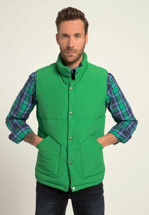 Gilet matelassé vert avec un col haut, des boutons-pression et deux poches avant. Porté par-dessus une chemise à carreaux bleue et verte.
